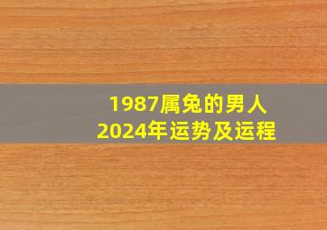 1987属兔的男人2024年运势及运程