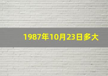 1987年10月23日多大