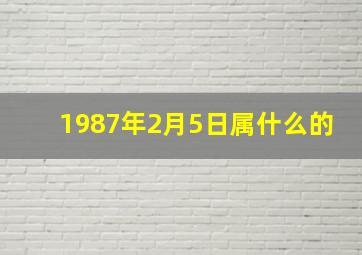 1987年2月5日属什么的