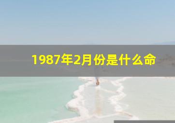 1987年2月份是什么命