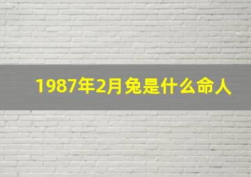 1987年2月兔是什么命人