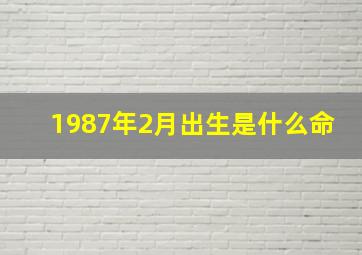 1987年2月出生是什么命