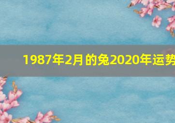 1987年2月的兔2020年运势