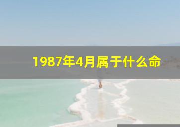 1987年4月属于什么命