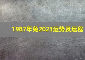 1987年兔2023运势及运程