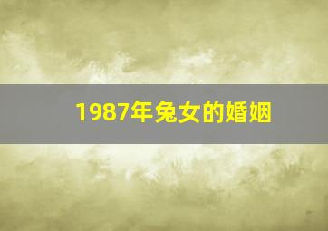 1987年兔女的婚姻