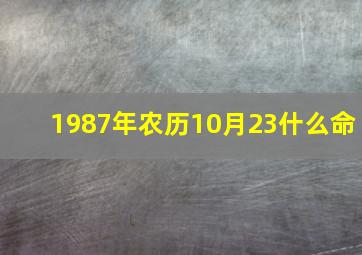 1987年农历10月23什么命