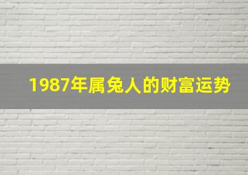 1987年属兔人的财富运势