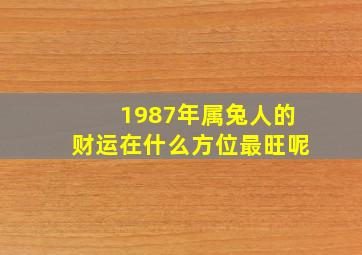 1987年属兔人的财运在什么方位最旺呢