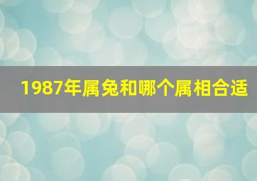 1987年属兔和哪个属相合适