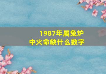 1987年属兔炉中火命缺什么数字