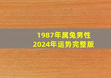 1987年属兔男性2024年运势完整版