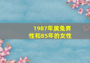 1987年属兔男性和85年的女性