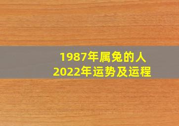 1987年属兔的人2022年运势及运程