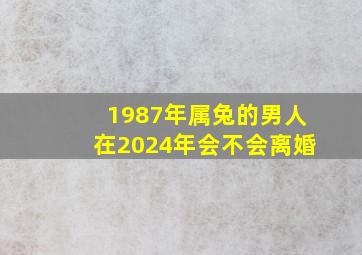 1987年属兔的男人在2024年会不会离婚