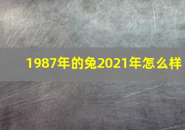 1987年的兔2021年怎么样