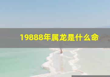 19888年属龙是什么命