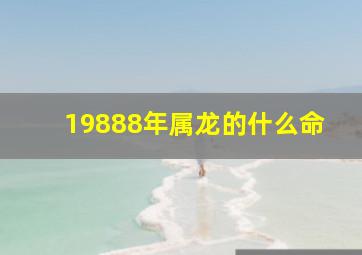 19888年属龙的什么命