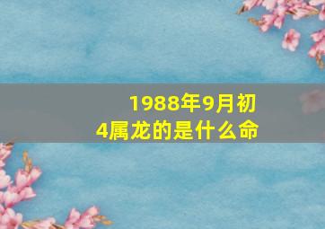 1988年9月初4属龙的是什么命