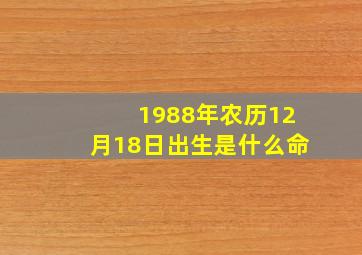 1988年农历12月18日出生是什么命