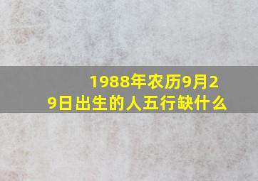 1988年农历9月29日出生的人五行缺什么