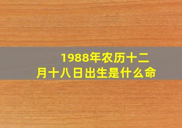 1988年农历十二月十八日出生是什么命