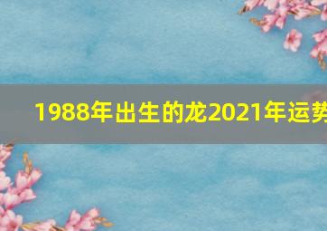 1988年出生的龙2021年运势