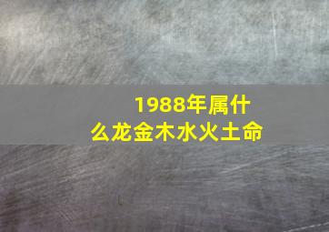 1988年属什么龙金木水火土命