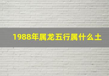 1988年属龙五行属什么土