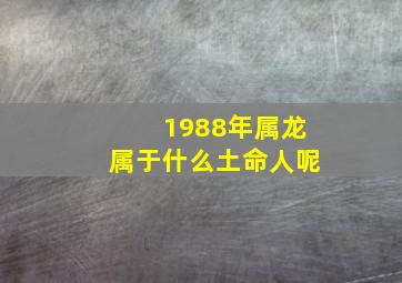 1988年属龙属于什么土命人呢