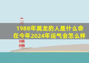 1988年属龙的人是什么命在今年2024年运气会怎么样