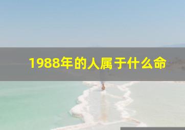 1988年的人属于什么命