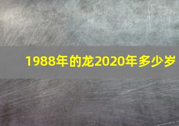 1988年的龙2020年多少岁