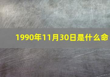 1990年11月30日是什么命