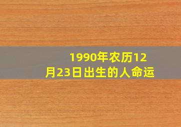 1990年农历12月23日出生的人命运