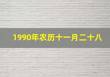 1990年农历十一月二十八