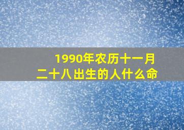 1990年农历十一月二十八出生的人什么命