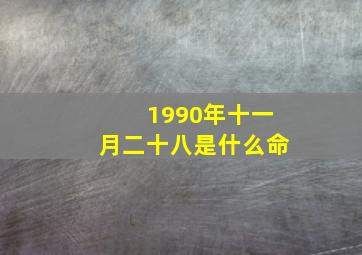 1990年十一月二十八是什么命