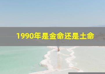 1990年是金命还是土命