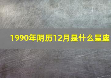 1990年阴历12月是什么星座