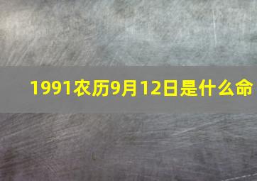 1991农历9月12日是什么命