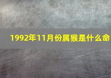 1992年11月份属猴是什么命