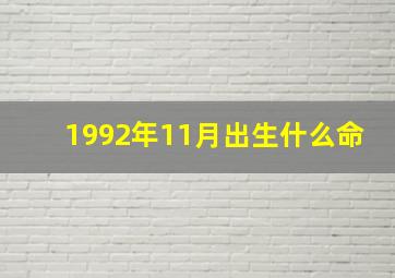 1992年11月出生什么命