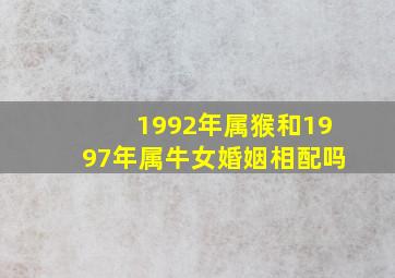 1992年属猴和1997年属牛女婚姻相配吗