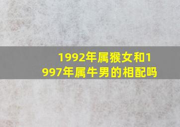 1992年属猴女和1997年属牛男的相配吗