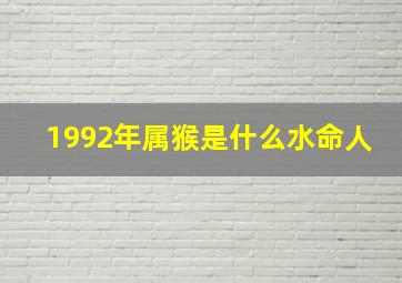 1992年属猴是什么水命人