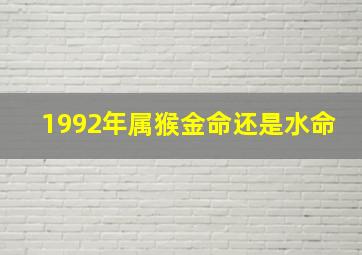 1992年属猴金命还是水命