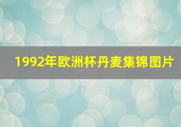 1992年欧洲杯丹麦集锦图片