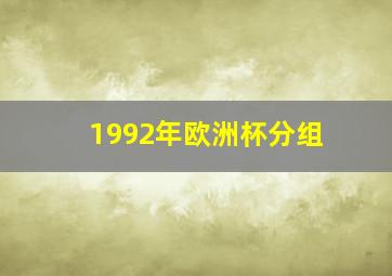 1992年欧洲杯分组