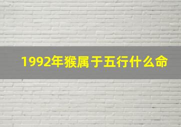 1992年猴属于五行什么命